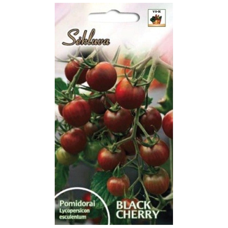 Valgomieji pomidorai Black Cherry (vyšniniai tamsūs) 0,1g. Valgomieji pomidorai Black Cherry (vyšniniai tamsūs) 0,1g.