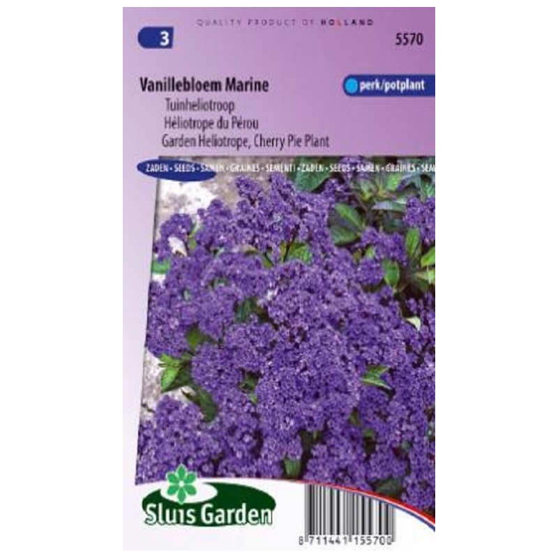 Kvapnusis heliotropas  120s.