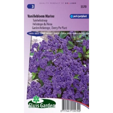 Kvapnusis heliotropas  120s.