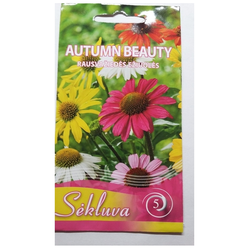 Ežiuolės mišinys Autumn Beauty 20s Ežiuolės mišinys Autumn Beauty 20s