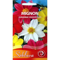 JURGINAI MIGNON  1g.(mix)