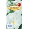Darželinė našlaitė Firnenschnee  0,5gr (balta)