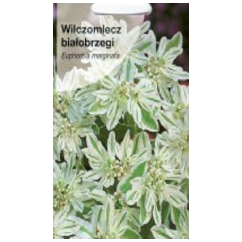 Margalapė karpažolė 0,5gr Margalapė karpažolė 0,5gr