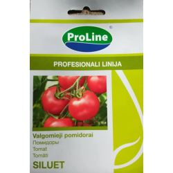 Valgomieji pomidorai Siluet H  10s.