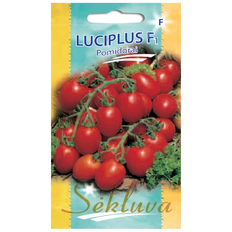 POMIDORAI LUCIPLUS F1 10s POMIDORAI LUCIPLUS F1 10s