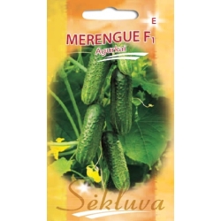 AGURKAI MERENGUE F1 100s