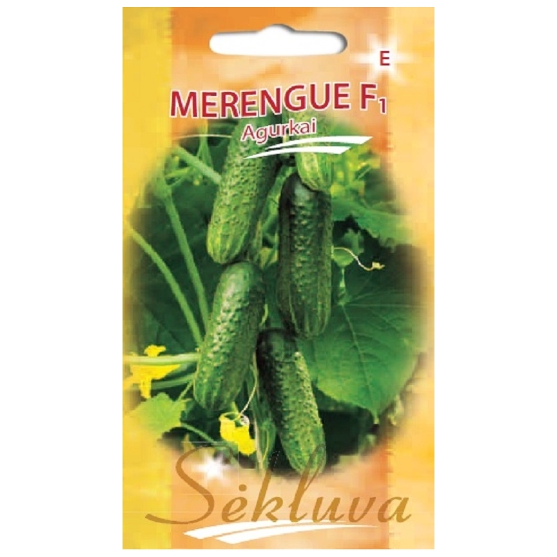AGURKAI MERENGUE F1 100s AGURKAI MERENGUE F1 100s