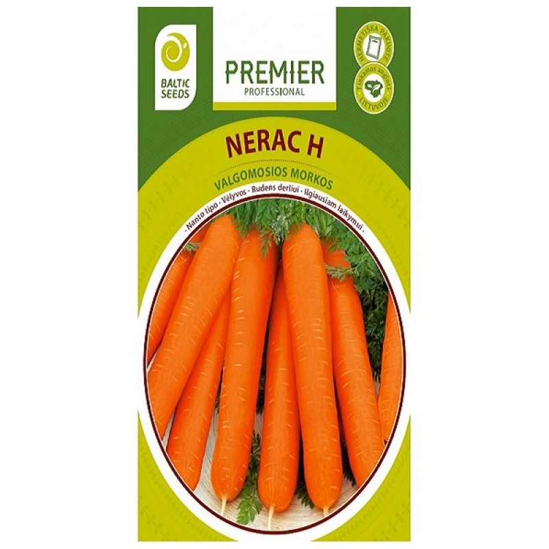 Morkos NERAC H, 600 sėklų Morkos NERAC H, 600 sėklų