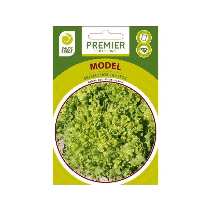 Salotos MODEL, 50 sėklų baltic seeds Salotos MODEL, 50 sėklų baltic seeds