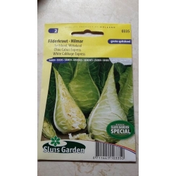 Baltieji gūžiniai kopūstai Filderkraut  110s