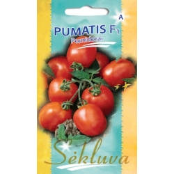 VALGOMIEJI POMIDORAI PUMATIS F1 15s