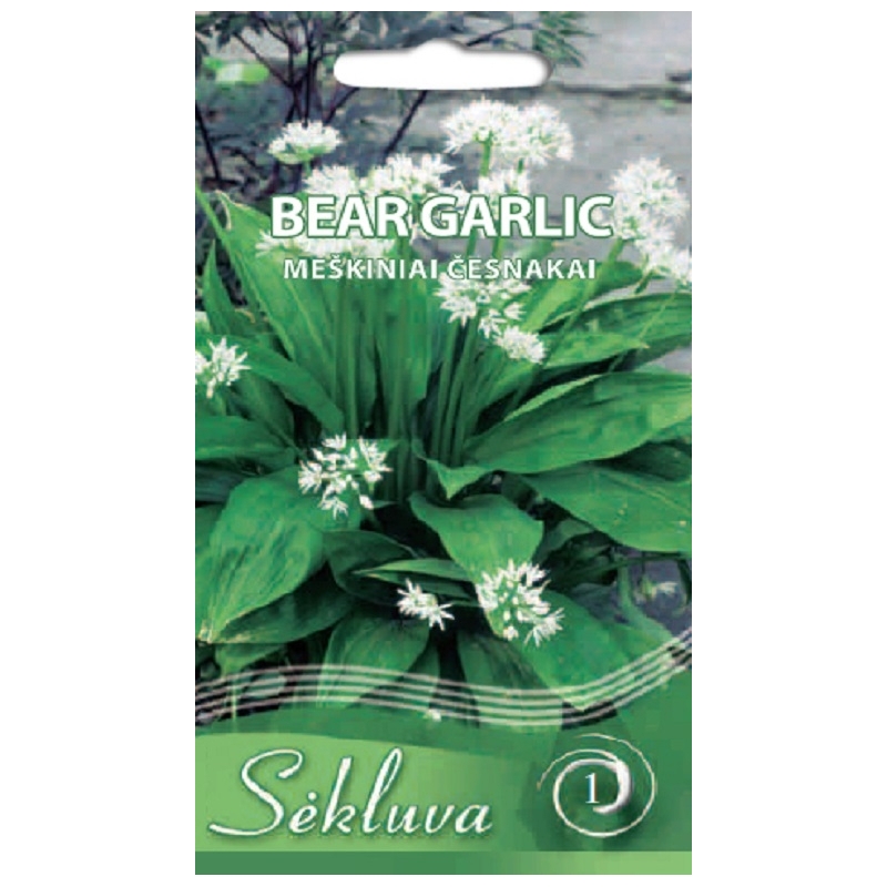MEŠKINIAI ČESNAKAI BEAR GARLIC 0,1gr MEŠKINIAI ČESNAKAI BEAR GARLIC 0,1gr