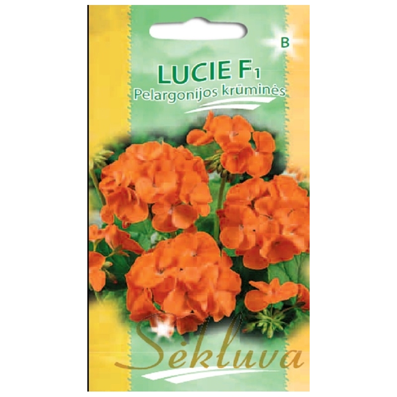 JUOSTUOTOSIOS PELARGONIJOS LUCIE F1 5s JUOSTUOTOSIOS PELARGONIJOS LUCIE F1 5s
