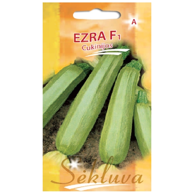 CUKINIJOS EZRA F1 6s CUKINIJOS EZRA F1 6s