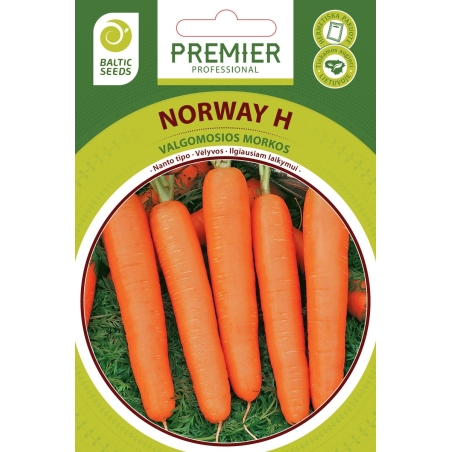 Morkos NORWAY H, 600 s
