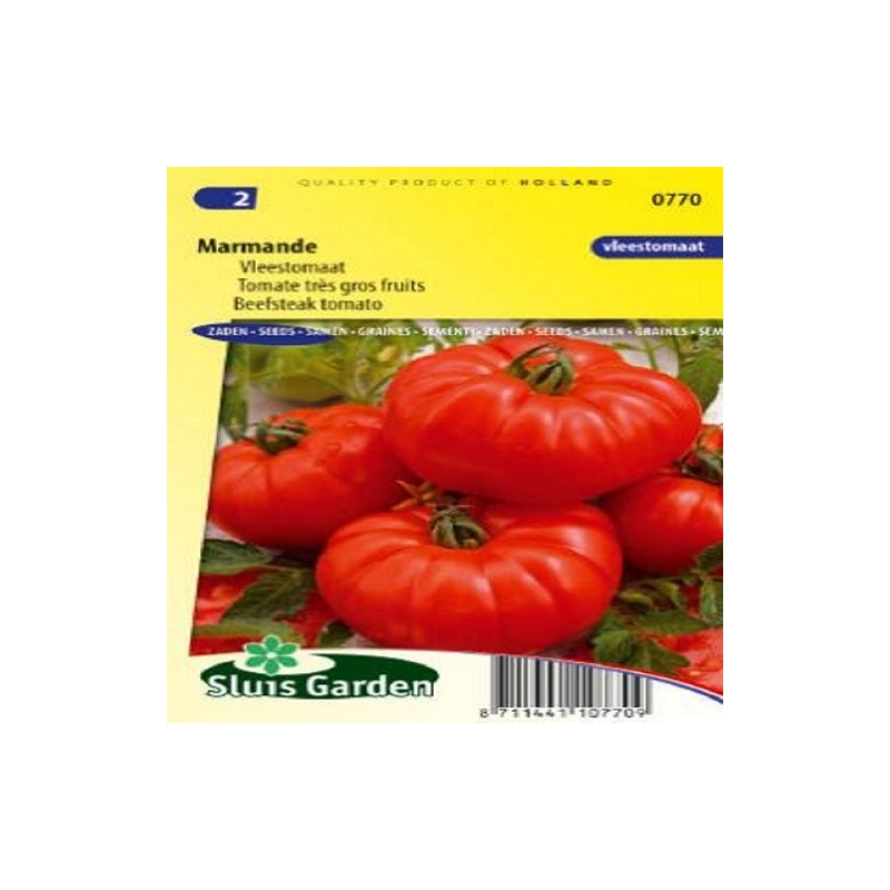 Pomidorai Marmande 75s Pomidorai Marmande 75s