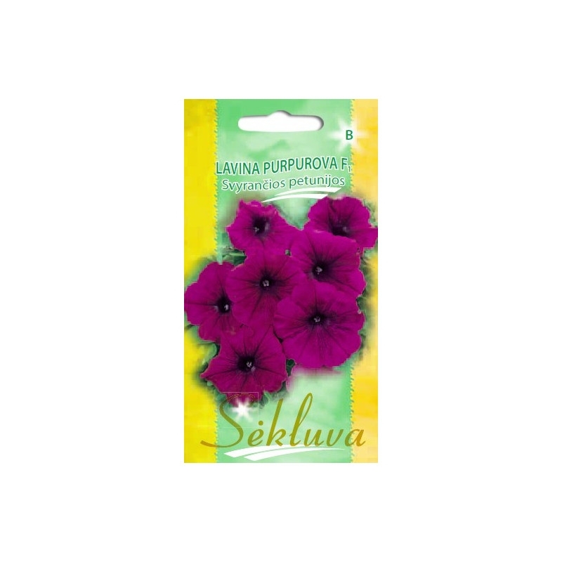 PETUNIJOS LAVINA PURPUROVA F1 30s PETUNIJOS LAVINA PURPUROVA F1 30s