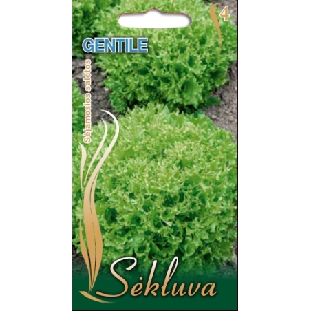SĖJAMOSIOS SALOTOS GENTILE 1gr