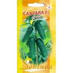 Agurkai Cantara F1 20s.