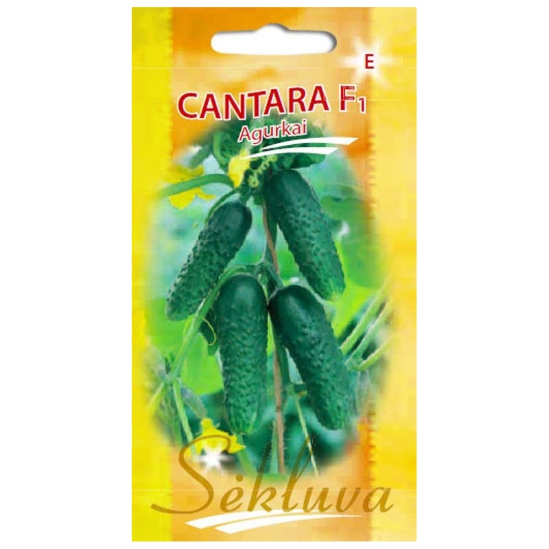 Agurkai Cantara F1 20s.