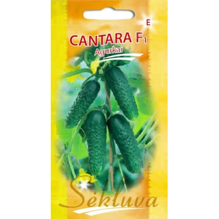 Agurkai Cantara F1 20s.