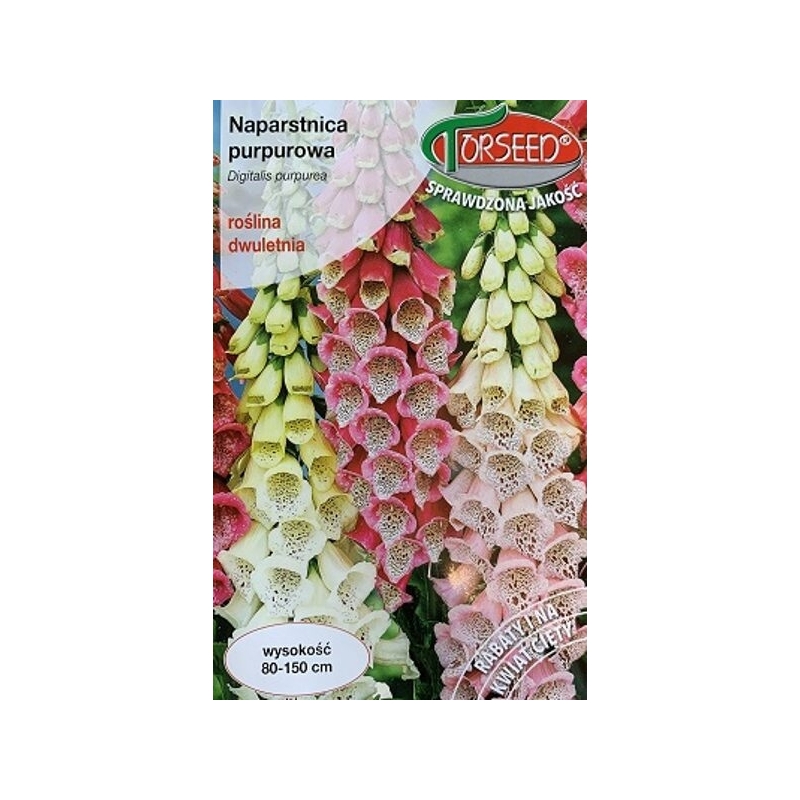 PAPRASTOSIOS RUSMENĖS FOXY MIŠINYS PAPRASTOSIOS RUSMENĖS FOXY MIŠINYS
