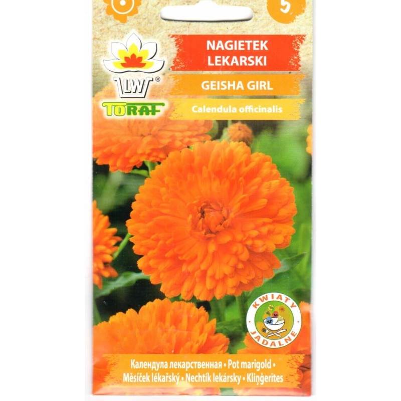 Vaistinės medetkos Geisha Girl 1gr Vaistinės medetkos Geisha Girl 1gr