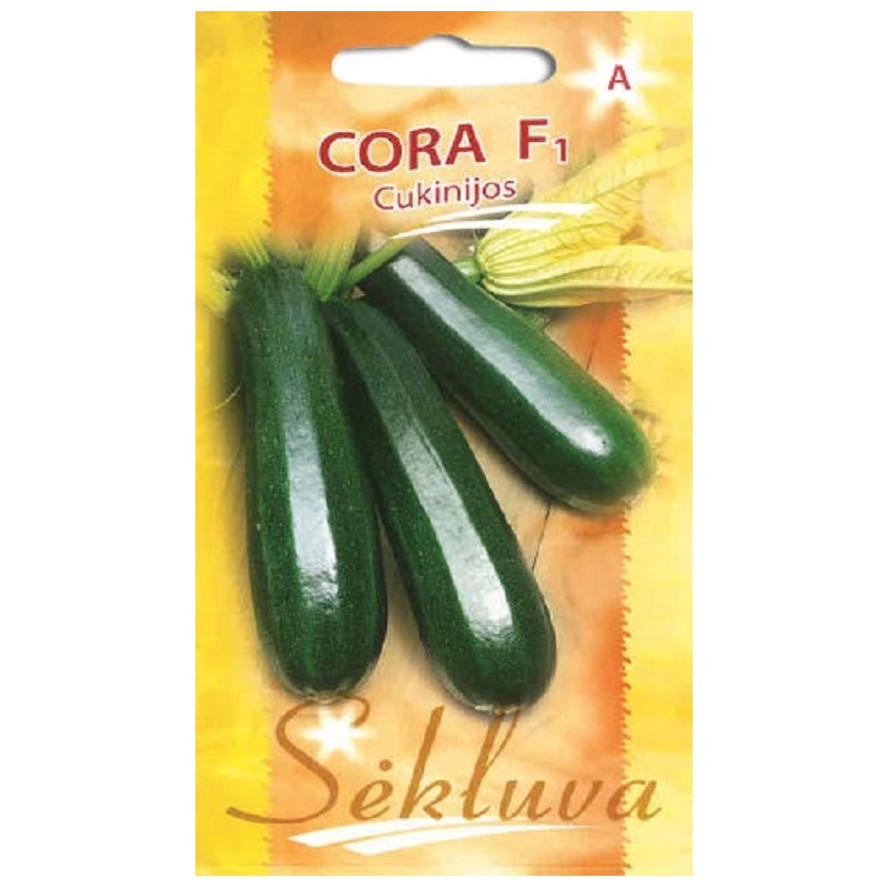 Cukinijos Cora F1 5s. Cukinijos Cora F1 5s.