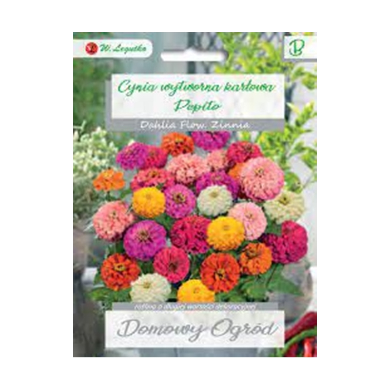 Puikioji gvaizdūnė Pepito 0,5gr Puikioji gvaizdūnė Pepito 0,5gr