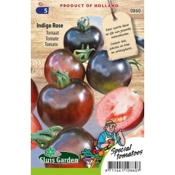 Pomidorai Indigo Rose17s