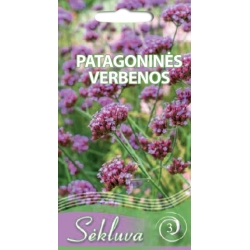 Patagoninė verbena  0,1gr