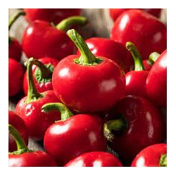 Paprikos PEPERONE CILIEGIA PICCANTE 0,5gr  (ortowo)