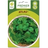 Kalendrų sėklos ATLAS 3gr
