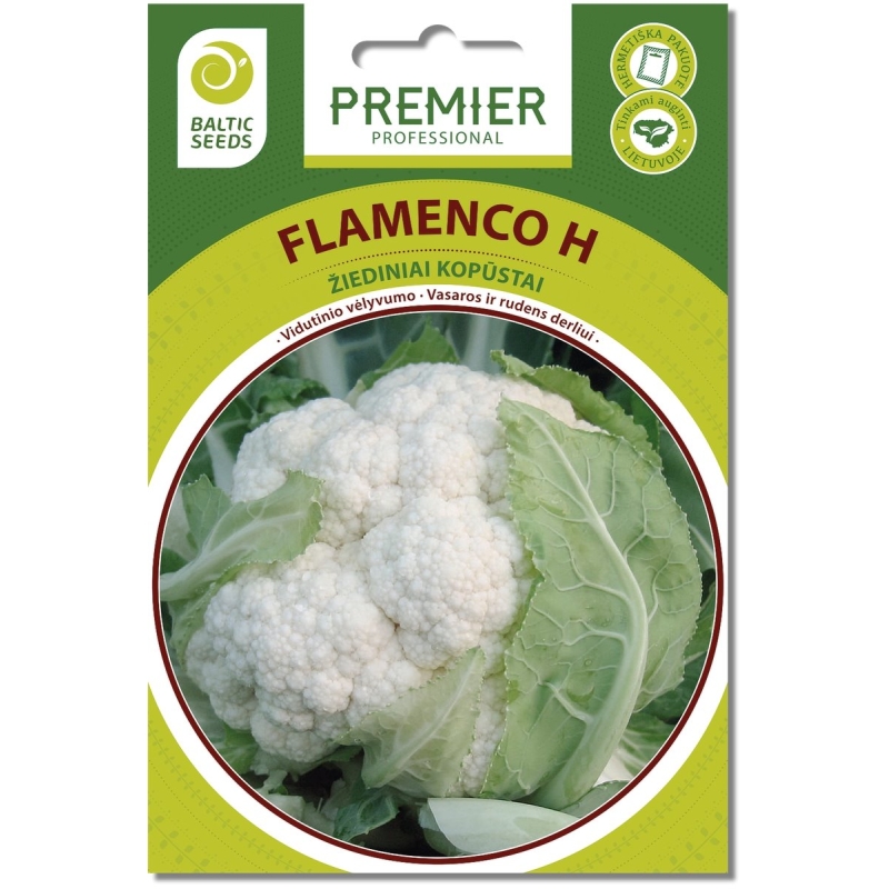 Žiediniai kopūstai FLAMENCO H (F1), 20 sėklų
