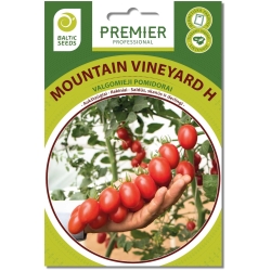 Pomidorai MOUNTAIN VINEYARD H (F1), 8 sėklos