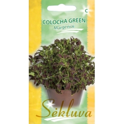 Darželiniai margeniai Colocha Chocolate Green 20s