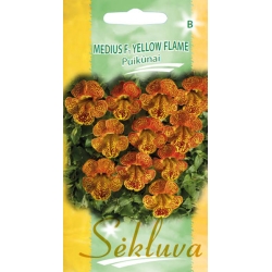 Puikūnas Medius F1 Yellow Flame 30s