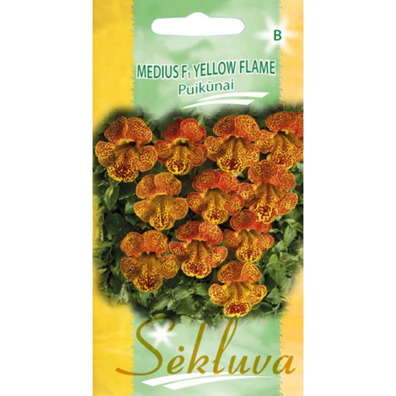 Puikūnas Medius F1 Yellow Flame 30s