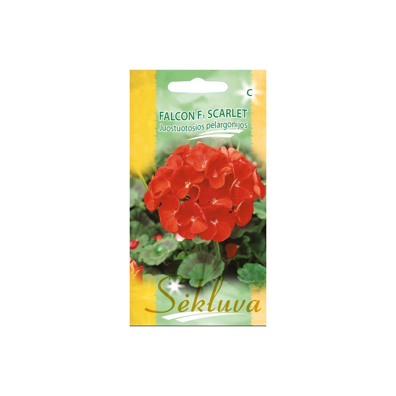 Juostuotosios pelargonijos Falcon F1 Scarlet 5s