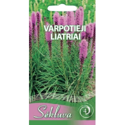 Varpotieji liatriai Rose Purple 0,3gr