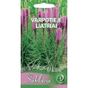 Varpotieji liatriai Rose Purple 0,3gr