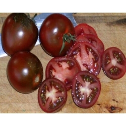 Pomidorai Brunito F1  20s.