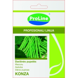 Šparaginės pupelės KONZA 40s
