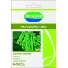 Šparaginės pupelės KONZA 40s