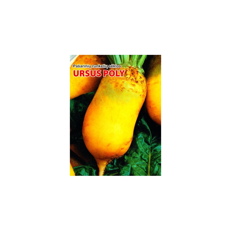 Pašariniai runkeliai Ursus Poly 200gr