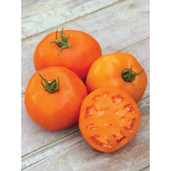 Pomidorai Orange Slice F1 10S