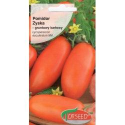 Pomidorai Zyska 0,2gr