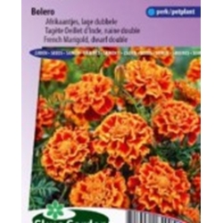 Gvazdikiniai serenčiai  Bolero   0,4gr