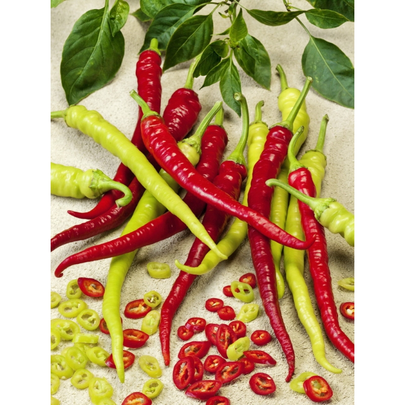 Vienametės paprikos Spiralus  0,5gr