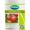Pomidorai KAPONET H  8s
